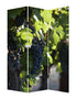 48" X 72" Multi Color Wood Canvas Wine Country  Screen