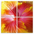 24" Multicolor Canvas 4 Panels Hibiscus Photo