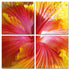 24" Multicolor Canvas 4 Panels Hibiscus Photo