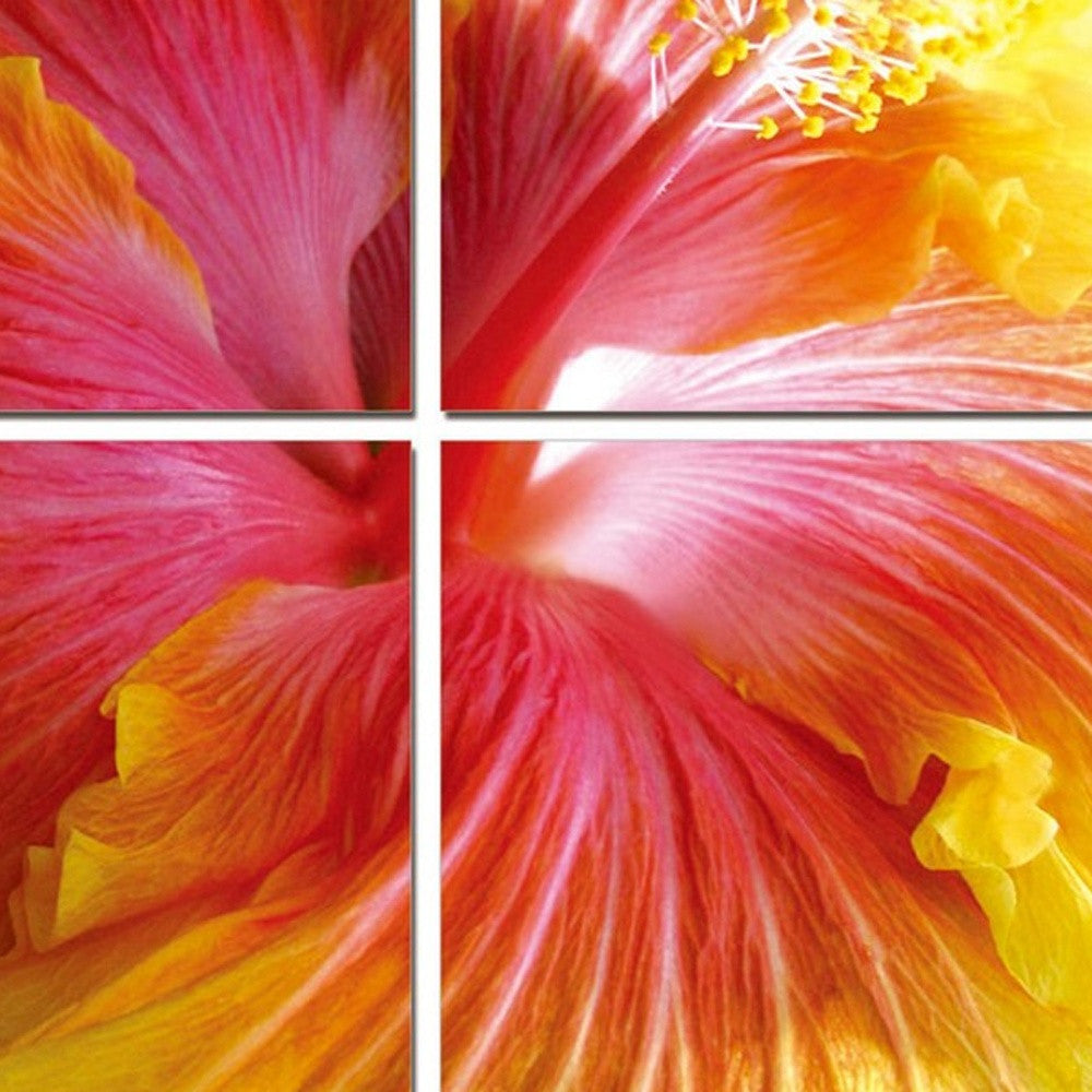 24" Multicolor Canvas 4 Panels Hibiscus Photo