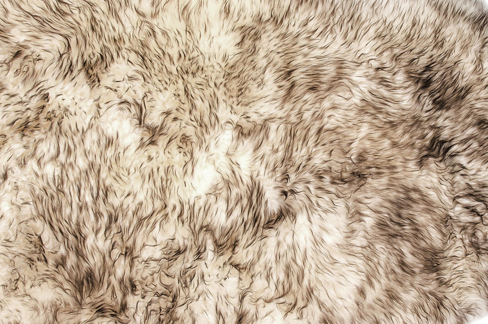 Gradient Gray Animal Print Area Rug