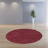 5'X7' Red Indoor Shag Rug