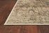 5' X 8' Champagne Vintage Area Rug