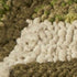 8'X10' Sand Beige Hand Hooked Uv Treated Bordered Coastal Sea Grass Indoor Outdoor Area Rug
