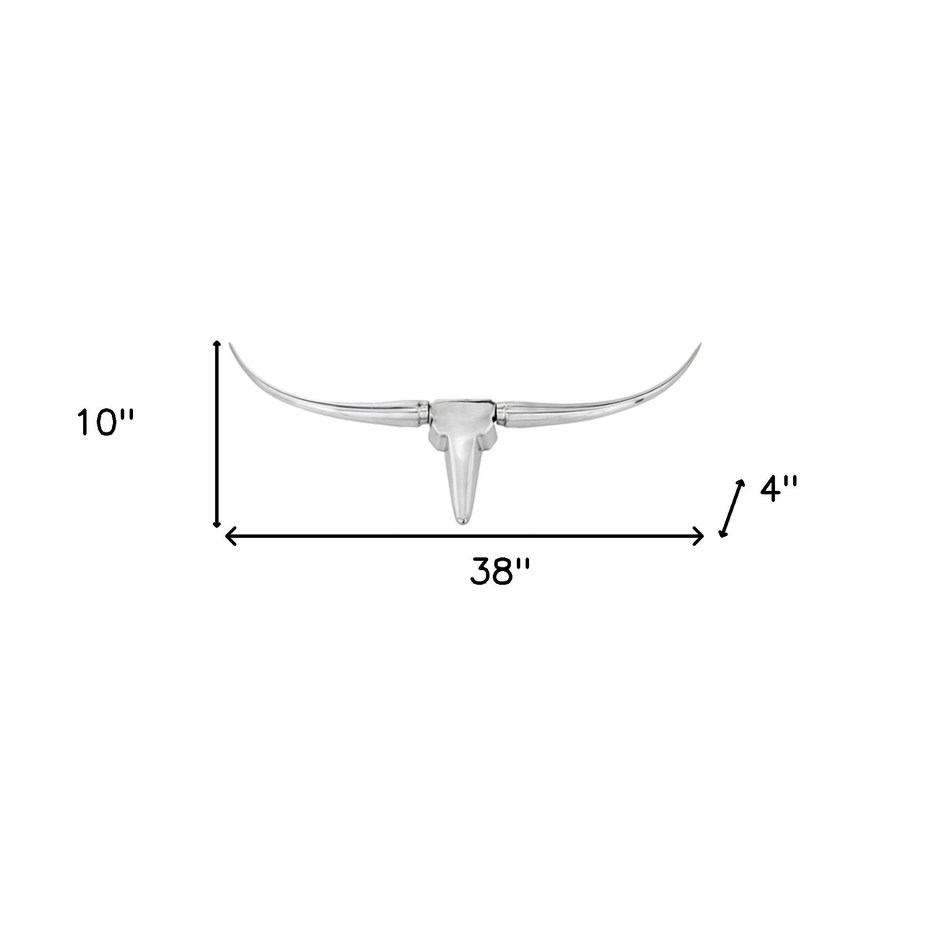 2" X 38" X 10" Buffed Long Horn Wall Bust