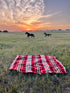 Ultra Soft Southwestern Red Hot Handmade Woven Blanket