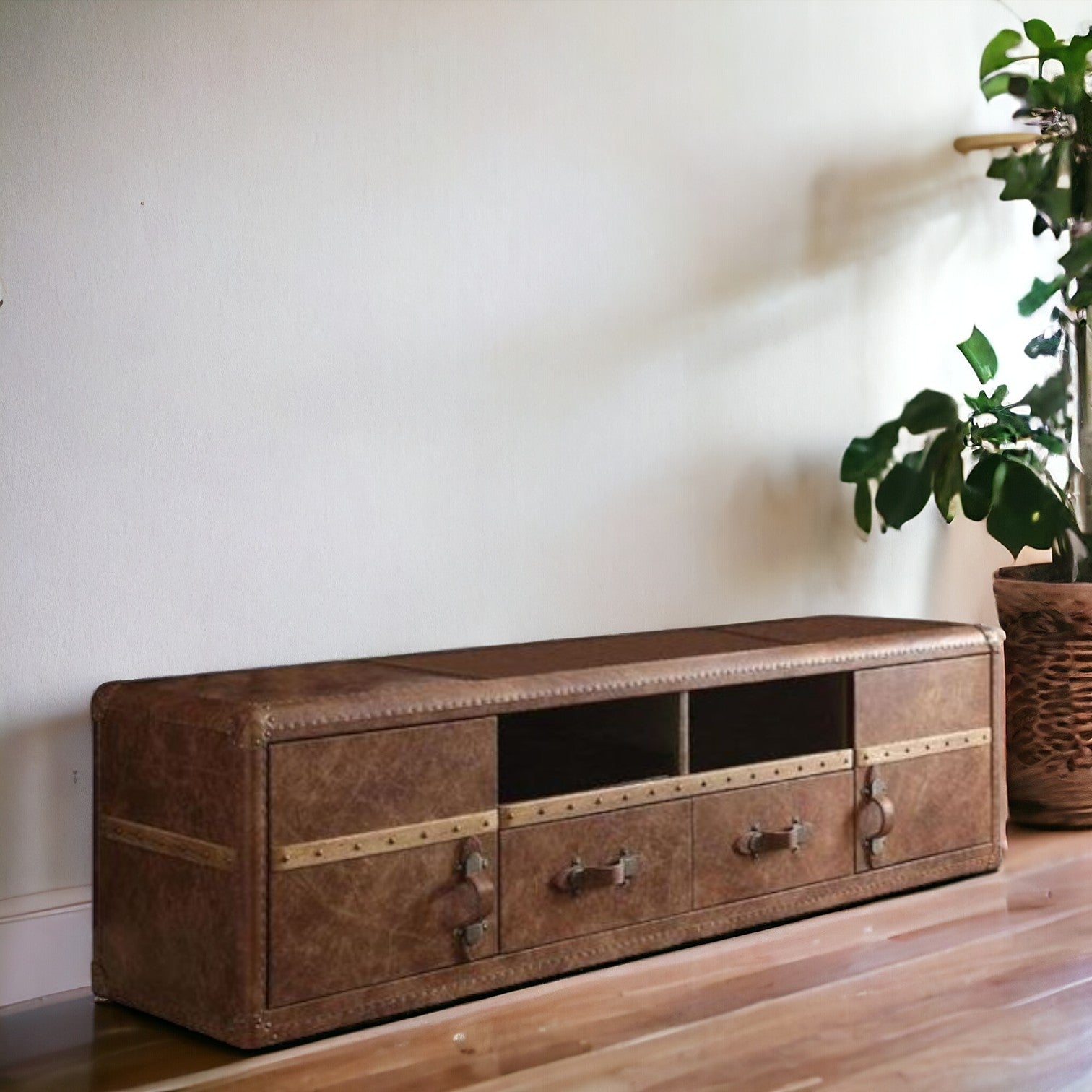 80" Brown Leather Cabinet Enclosed Storage TV Stand