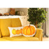 Set Of 2 20" Thanksgiving Pumpkin Throw Pillow Cover In Multicolor