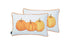 Set Of 2 20" Thanksgiving Pumpkin Throw Pillow Cover In Multicolor