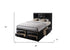 Black  Multi-Drawer Wood Platform  Full Bed With Pull Out Tray