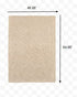 3’ X 5’ Modern Soft Tan Indoor Area Rug