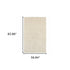 3’ X 5’ Modern Shag Ivory Indoor Area Rug