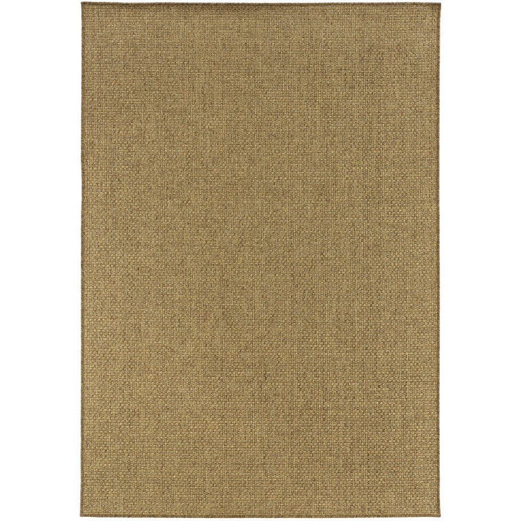 2' X 4' Tan Indoor Outdoor Area Rug