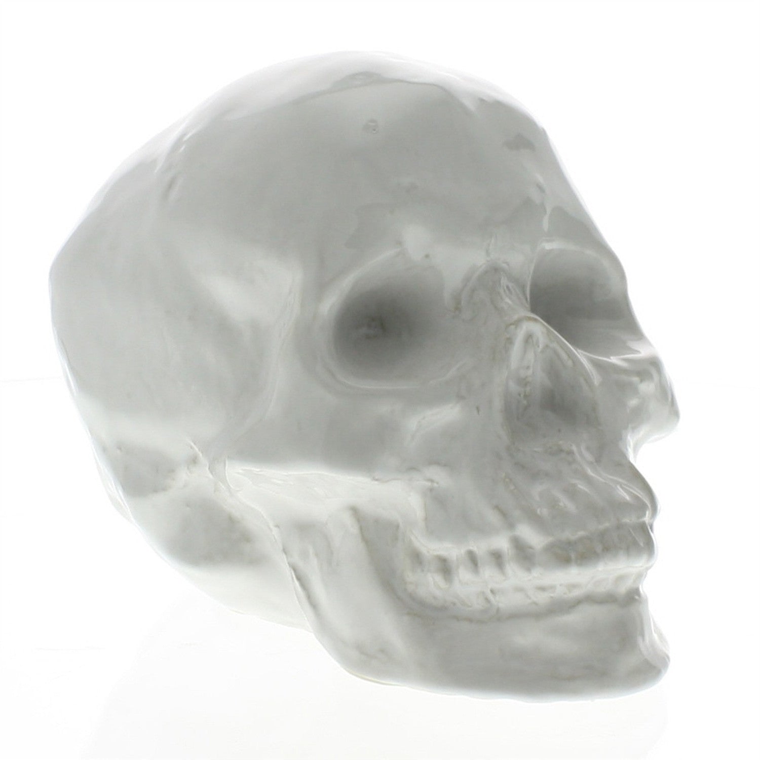 White Ceramic Skull Sculpture