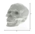 White Ceramic Skull Sculpture