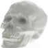 White Ceramic Skull Sculpture