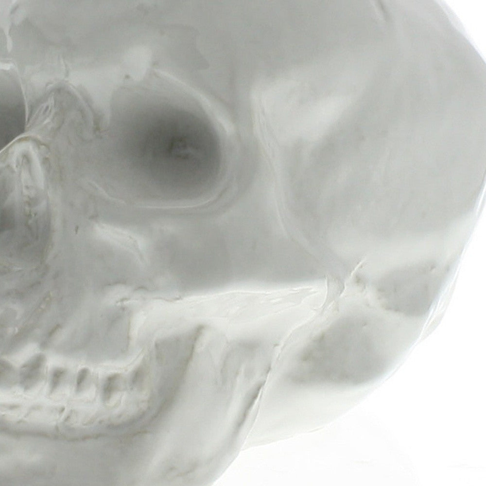 White Ceramic Skull Sculpture