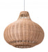 Natural Native Ceiling Lamp