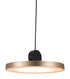 Gold Shaded Metal LED Dimmable Ceiling Light