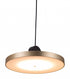 Gold Shaded Metal LED Dimmable Ceiling Light