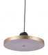 Gold Shaded Metal LED Dimmable Ceiling Light