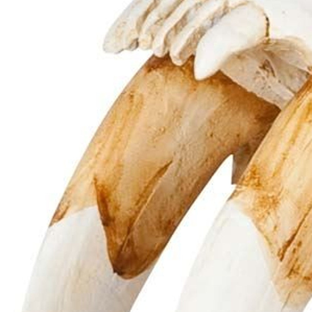 Authentic Replica Sabertooth Skull Sculpture