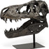 Authentic Replica T Rex Skull Sculpture