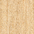 8’ x 10’ Classic Tan Bordered Area Rug