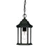 12" Narrow Matte Black Glass Lantern Hanging Light