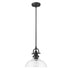 Matte Black Hanging Light with Glass Dome Shade