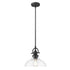 Matte Black Hanging Light with Glass Dome Shade