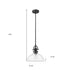 Matte Black Hanging Light with Glass Dome Shade