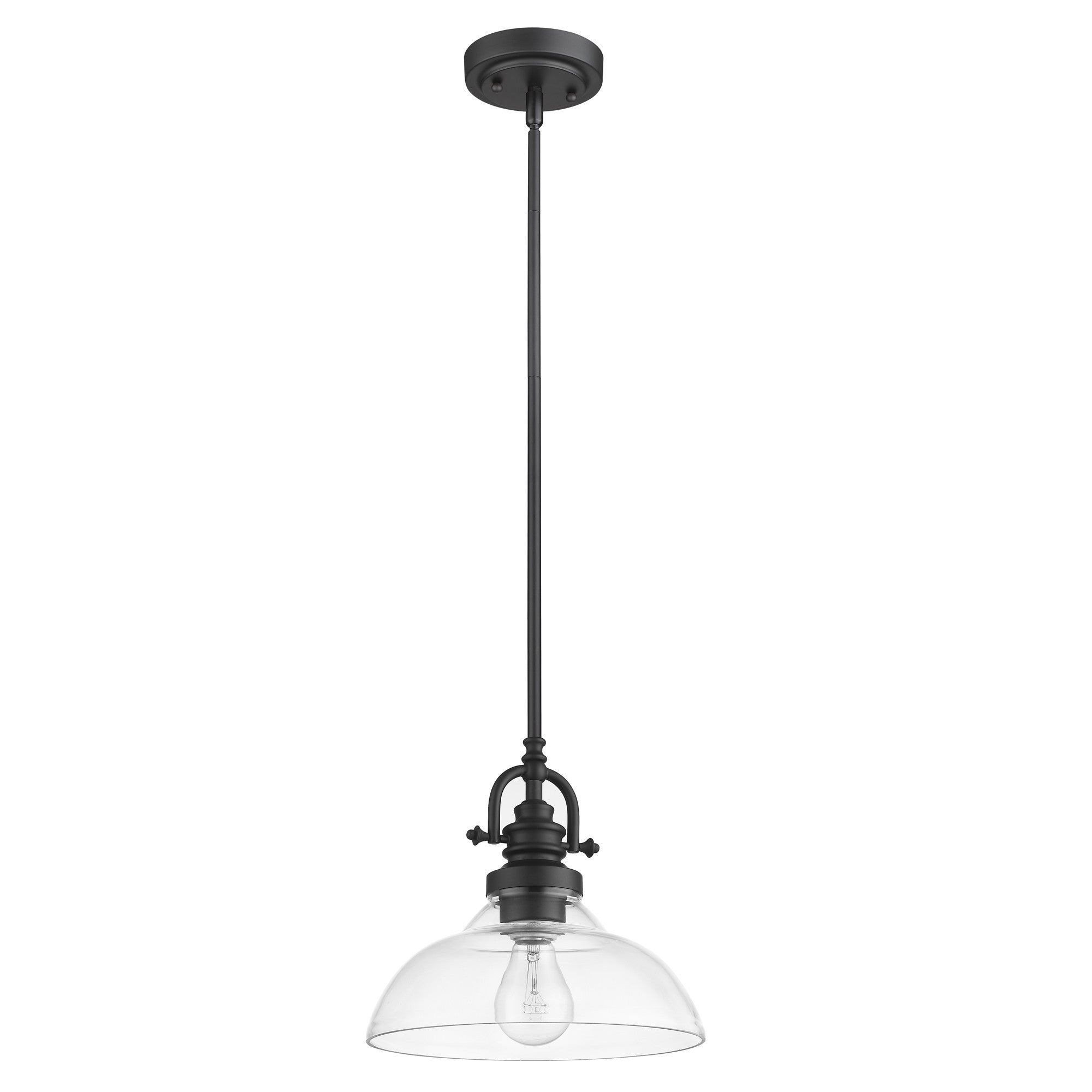 Matte Black Hanging Light with Glass Dome Shade