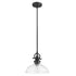 Matte Black Hanging Light with Glass Dome Shade