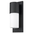 Contemporary Matte Black and White Wall Light