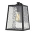 Hirche 1-Light Matte Black Wall Light