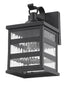 Glass panel Matte Black Outdoor Cage Light