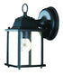 Matte Black Hanging Glass Lantern Wall Light