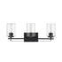 Black Metal and Textured Glass Three Light Wall Sconce