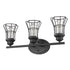 Three Light Matte Black Cage Wall Sconce