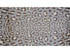 2' x 4' Gray and Brown Cheetah Washable Floor Mat