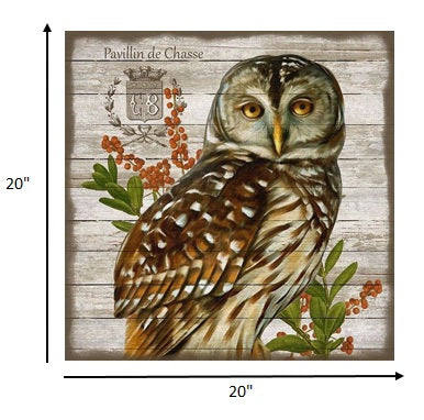 Vintage French Brown Owl Wall Art