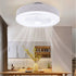 Contemporary Ceiling Ceiling Fan and Light