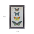 Set Of Two Green Solid Wood Butterfly Wall Decor