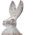 Set of Two 17" White Washed Polyresin Rabbit Figurine Tabletop Sculpture