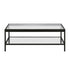 45" Clear And Black Glass And Steel Coffee Table With Shelf