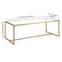 47" Gold Glass And Steel Coffee Table