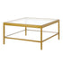 32" Clear And Gold Glass And Steel Square Coffee Table With Shelf