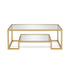 45" Gold Glass And Steel Coffee Table With Shelf