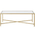 48" Gold Glass And Steel Coffee Table